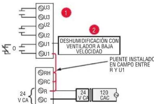 HONEYWELL YTHM5421R1010 - Cableado para humidificacion, deshumidificacion y ventilacion - 6