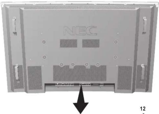 NEC PlasmaSync 60XP10 - Panel de Terminal - 1