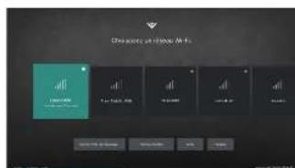 VIZIO SmartCast D48FF0 - ATTENTION: - 6