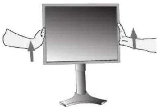 NEC MultiSync LCD1990SXi - Élévation et descente de l'écran du moniteur - 1