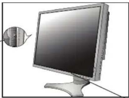 NEC MultiSync LCD1990SXi - DÉCLARATION DE CONFORMITÉ - 12