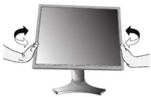 NEC MultiSync LCD1990SXi - Swivel - 1