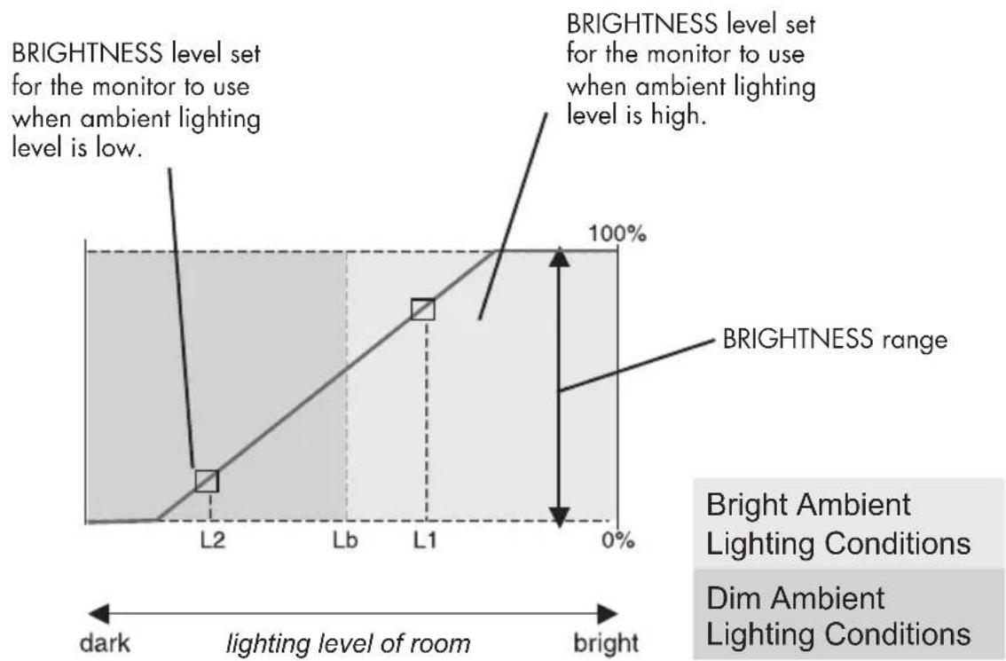 NEC MultiSync LCD1990SXi - Using the Auto Brightness function - cont. - 1
