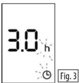 DELONGHI Radia S TRRS0715E - Función temporizador - 1