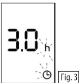 DELONGHI Radia S TRRS0715E - Timer function - 1