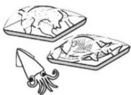 SIGNATURE UPSXB2627S - Food Storage Guide - 3