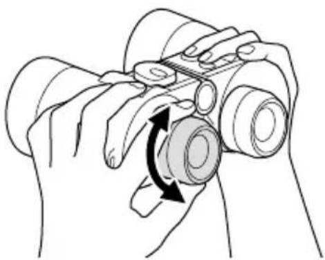 Fujinon Mariner 7x50 WPXL - 调节对焦 - 1