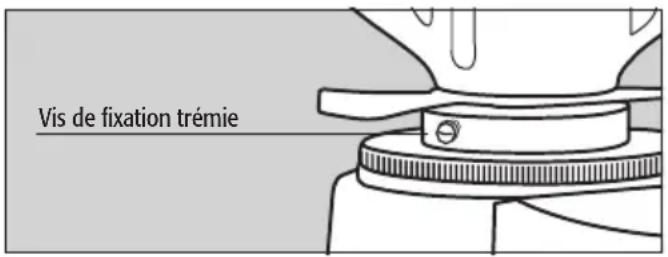 Fiorenzato F4 E - Préparation - 1