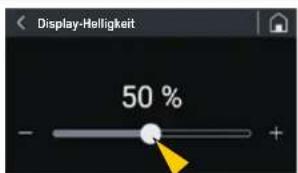 Fiorenzato F64 E XGi - Display-Helligkeit - 1