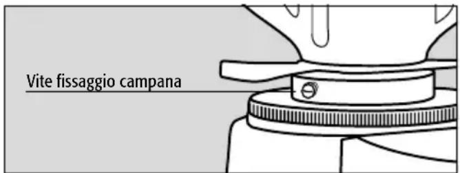 Fiorenzato F4 F - Preparazione - 1