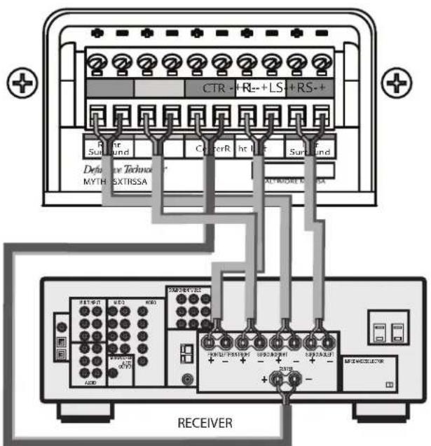 DEFINITIVE TECHNOLOGY Mythos XTRSSA5 - Insérer les fils de haut-parleur - 1
