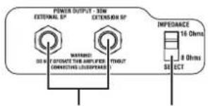 VOX AC30C2X - PANEL POSTERIOR - 1