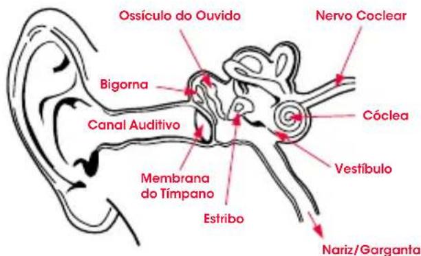 MONSTER Mixr - Fisiologia do Ouvido - 1