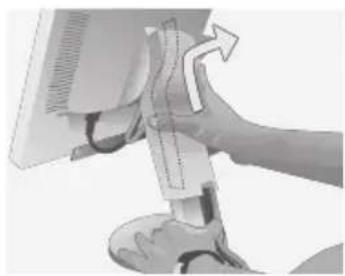 NEC MultiSync LCD2170NX - Remove Monitor Stand for Mounting - 2
