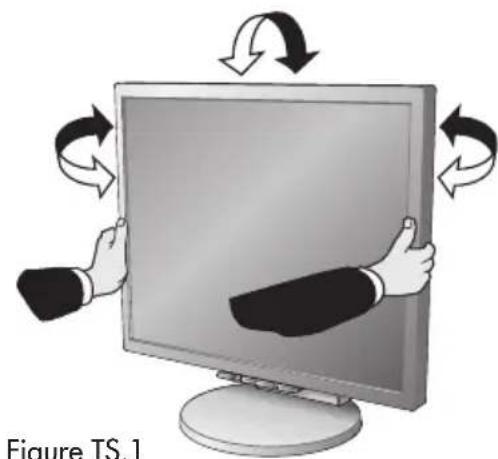 NEC MultiSync LCD2170NX - Tilt and Swivel - 1