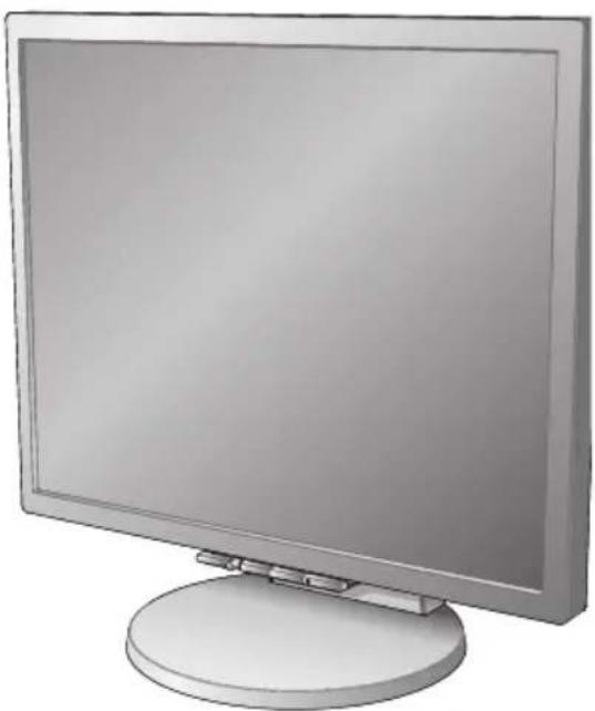 NEC MultiSync LCD2170NX - La caja del monitor NEC MultiSync® LCD* doit contener lo suiviente: - 3