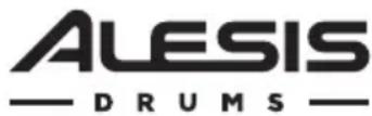 ALESIS Strike Amp 12 - Paneltrasero - 2