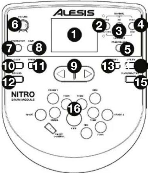 ALESIS Nitro Mesh Kit - Front Panel - 1
