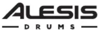 ALESIS Strike Amp 8 - Rückseite - 2