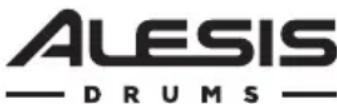 ALESIS Strike Amp 8 - Panel trasero - 2