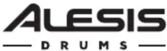 ALESIS Strike Amp 8 - Rear Panel - 2