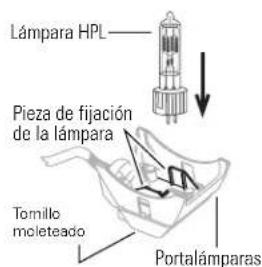 Lámpara HPL Pieza de fijación de la lámpara Tomillo moleteado Portalámparas