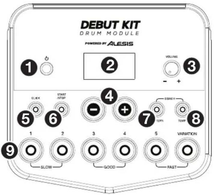 ALESIS Debut Kit - Panneau supérieur - 1