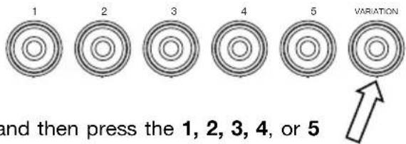 ALESIS Debut Kit - Selecting a Kit - 1
