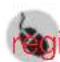 SHARK Rocket HV381 - ENREGISTRER VOTRE ACHAT - 1