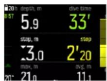 SUUNTO EON Steel Black - Paliers de sécurité - 1