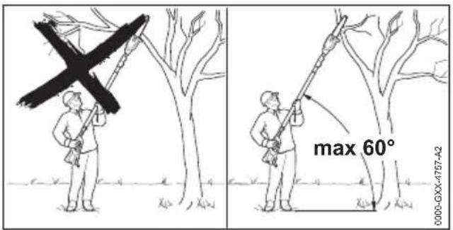 STIHL HTA 66 - Entasten - 1