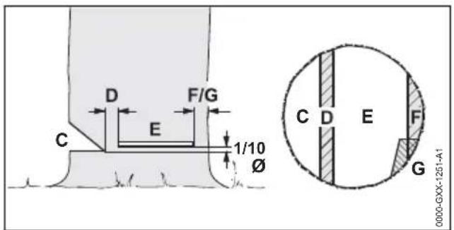 STIHL MS 400 CM - Grundlagen zum Fällschnitt - 1