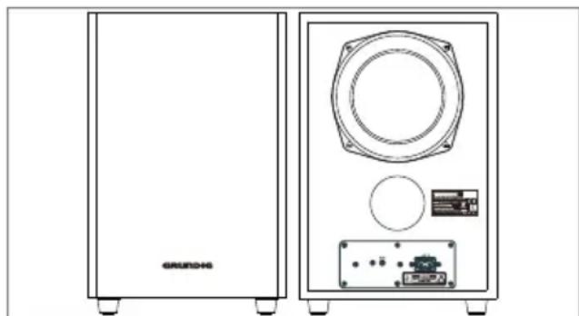 GRUNDIG DSB 990 - Subwoofer Connection - 1