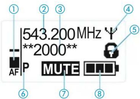 SENNHEISER SK 2250 - Vue d'ensembles des affichages - 1