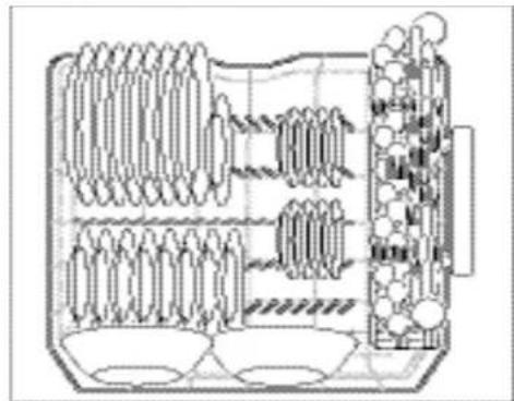 ELECTROLUX EI24ID30QW - Loading the bottom Rack - 1