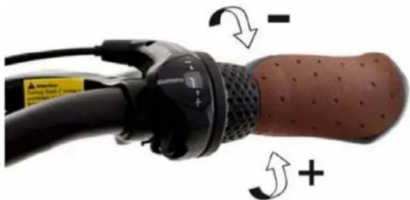 BLAUPUNKT CARLA 190 - Hub gear - 1