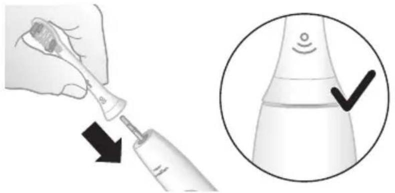 PHILIPS Sonicare ExpertClean HX9627 - Utilisation de la Brosse à dents Philips Sonicare - 1