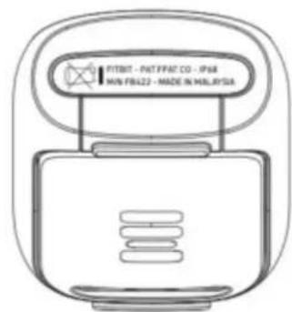 FITBIT Luxe - Band Pocket View - 2
