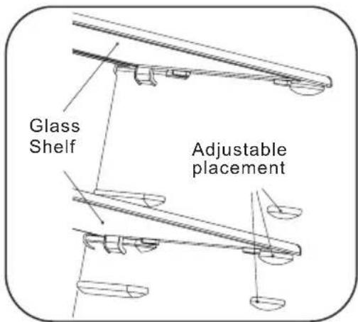 HISENSE RF20N6ASE - Glass shelves - 2