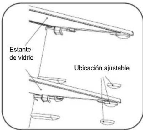 HISENSE RF20N6ASE - Estantes de vidrio - 2