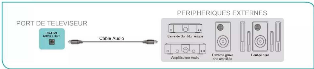 HISENSE 70A6G - Connexion de haut-parleurs ou d'autres récepteurs audio - 1