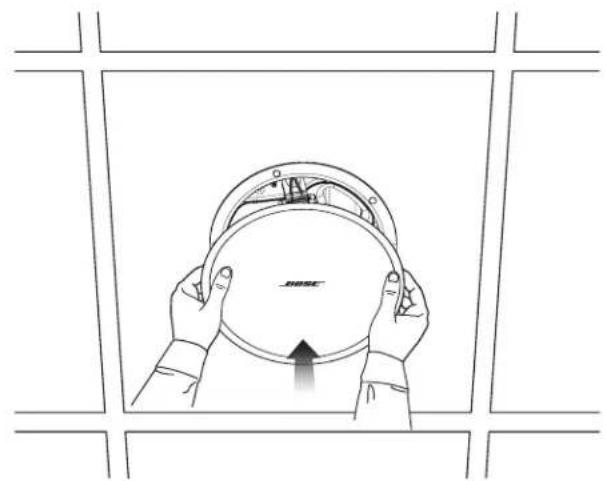 BOSE DesignMax DM5C - () - 1