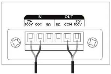 BOSE DesignMax DM5C - Anschlussdiagramme - 1