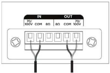 BOSE DesignMax DM5C - Diagrammes de connexion - 1