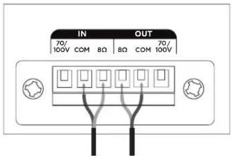 BOSE DesignMax DM5C - Anschlussdiagramme - 2