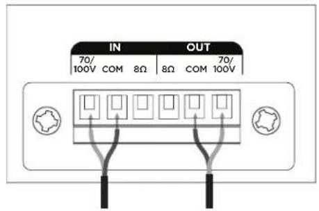BOSE DesignMax DM5C - Diagrams de connexion - 1
