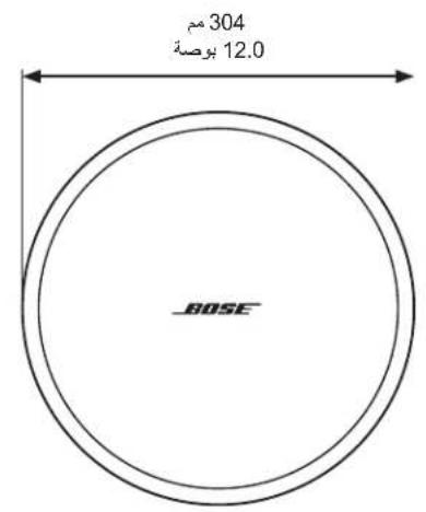 BOSE DesignMax DM5C - 安全上的CONPRAIANS - 13