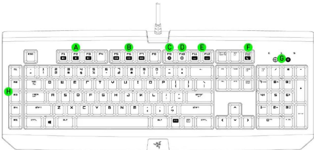 RAZER BlackWidow Ultimate Stealth - DISPOSITION DU CLAVIER - 1