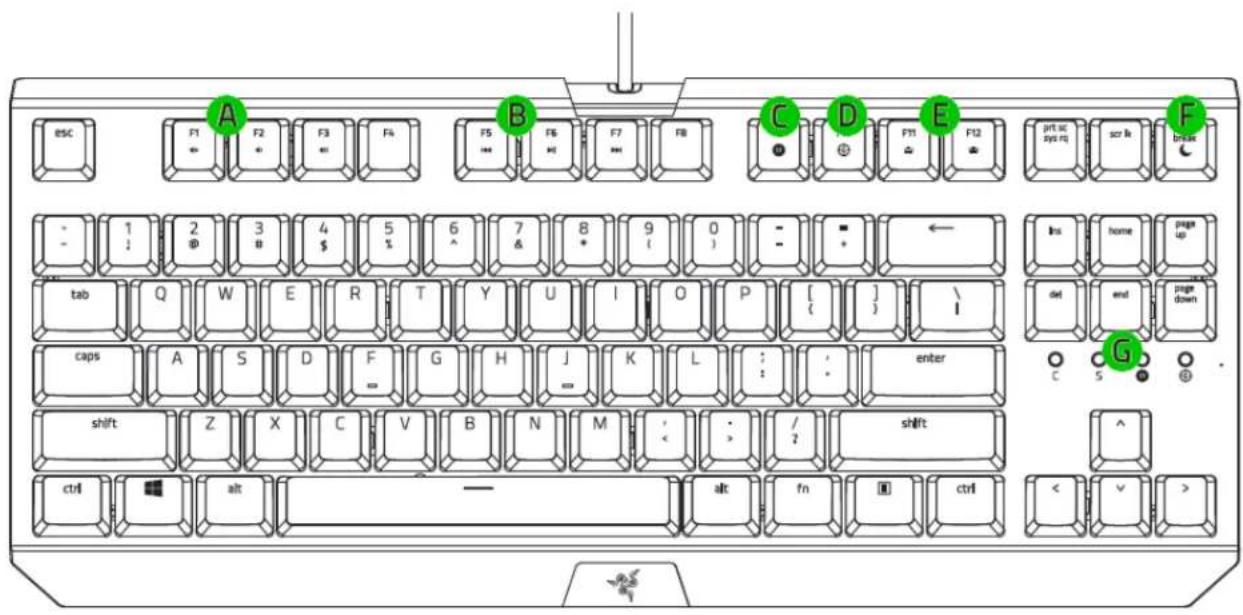 RAZER BlackWidow X Tournament Edition Chroma - RAZER BLACKWIDOW X TOURNAMENT EDITION CHROMA - 2