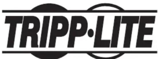 Tripp Lite Protect It! TLP606DMUSB - Police d'assurance garantie à vie totale - 1